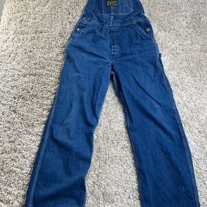 Carhartt Men's Indigo Denim Overalls